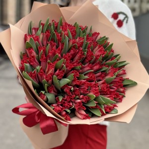 101 красный тюльпан Ред дресс 101 красный тюльпан Ред дресс