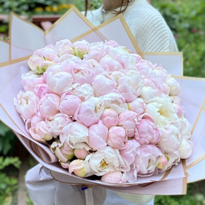 101 пион Ангел Чикс