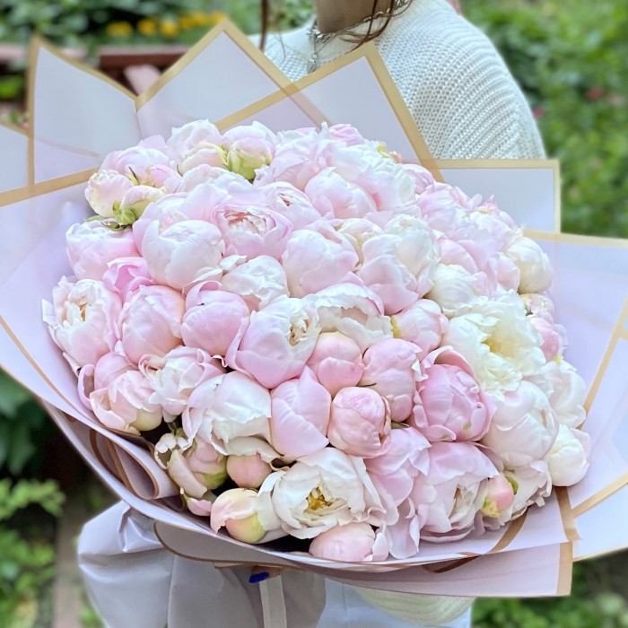 101 пион Ангел Чикс