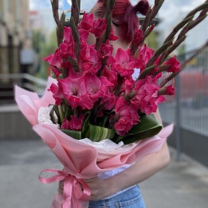 11 малиновых гладиолусов с аспидистрой 11 малиновых гладиолусов с аспидистрой