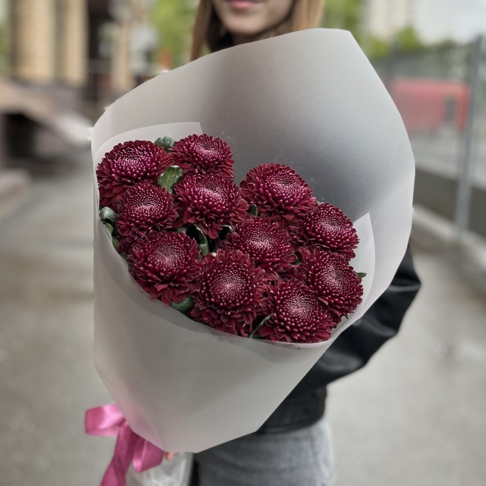 11 бордово-фиолетовых хризантем