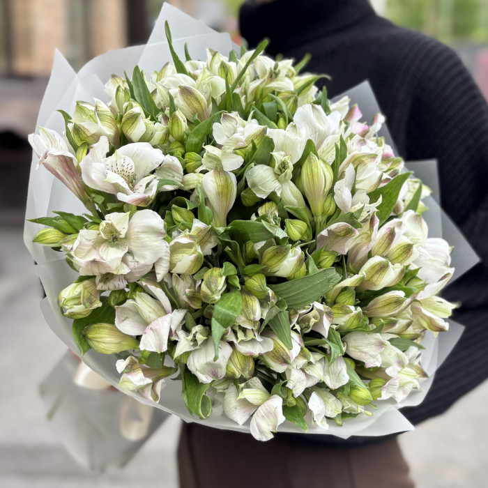 25 бело-фиолетовых альстромерий