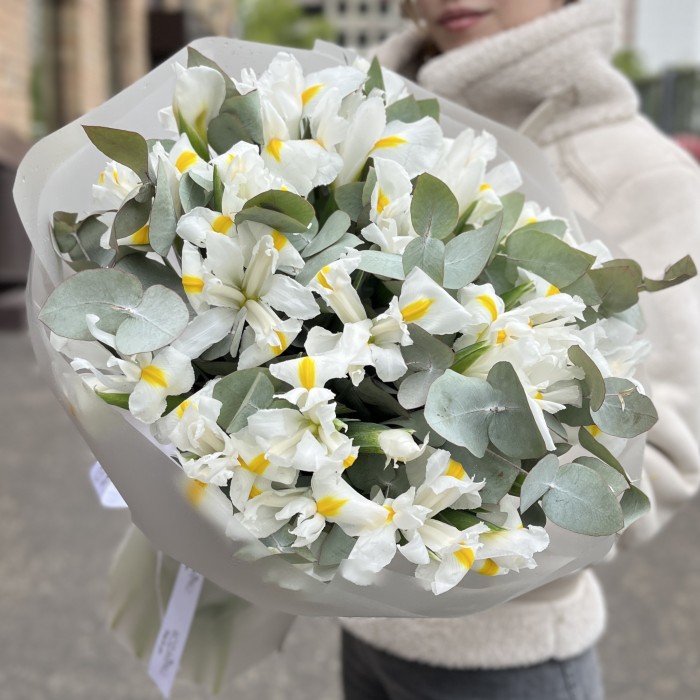 25 белых ирисов с эвкалиптом