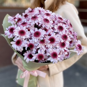 15 кустовых хризантем Стреза 15 кустовых хризантем Стреза