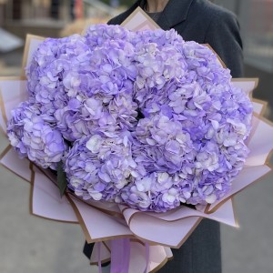 15 лавандовых гортензий 15 лавандовых гортензий
