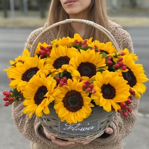 15 подсолнухов с гиперикумом в корзине 15 подсолнухов с гиперикумом в корзине