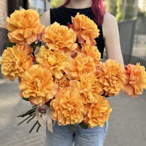 15 пышных роз Фри Спирит 50 см