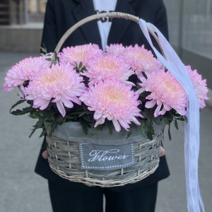 15 розовых хризантем Минка в корзине 15 розовых хризантем Минка в корзине