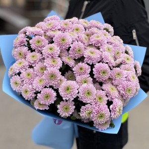15 розовых кустовых хризантем Романс 15 розовых кустовых хризантем Романс