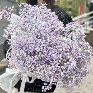 15 сиреневых гипсофил в упаковке 15 сиреневых гипсофил в упаковке