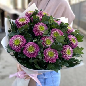 15 темно-розовых хризантем Сувенир 15 темно-розовых хризантем Сувенир