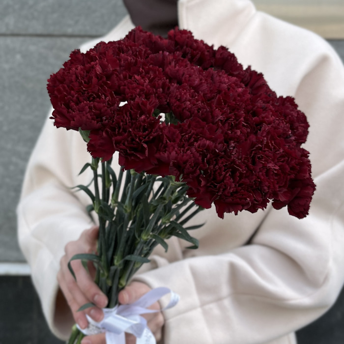 20 бордовых гвоздик