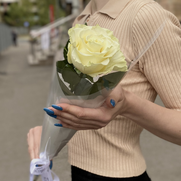 1 белая роза Мондиаль в упаковке