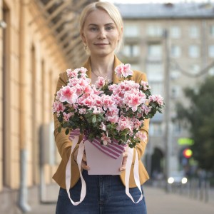 Азалия в коробке Азалия в коробке
