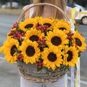 21 подсолнух с гиперикумом в корзине 21 подсолнух с гиперикумом в корзине