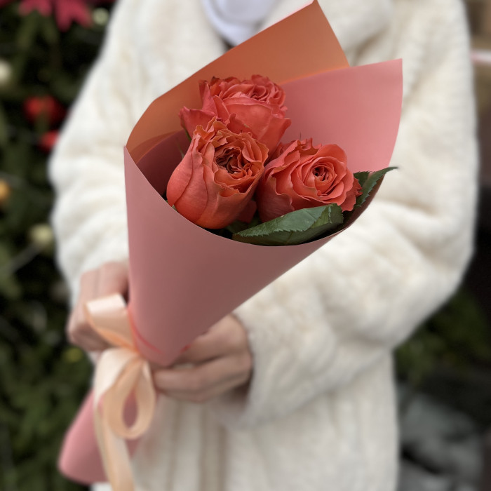 3 розы  Корал Экспрешен 50см