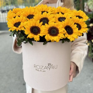 25 подсолнухов в коробке 25 подсолнухов в коробке