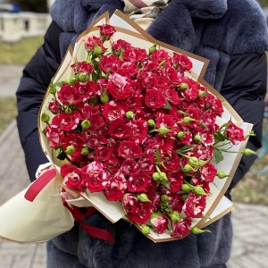 25 Бело-малиновых кустовых роз Твинки блоссом 40см 25 Бело-малиновых кустовых роз Твинки блоссом 40см