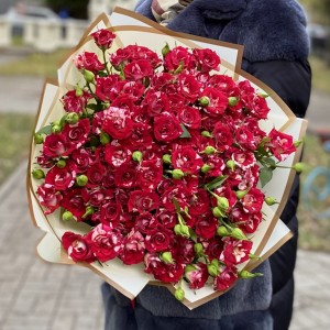 25 бело-малиновых кустовых роз Твинки блоссом 50 см 25 бело-малиновых кустовых роз Твинки блоссом 50 см