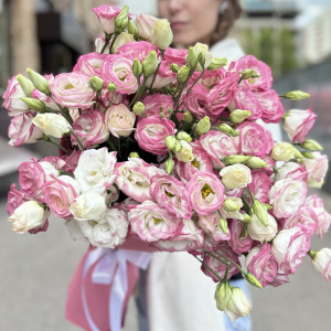 25 бело-розовых эустом