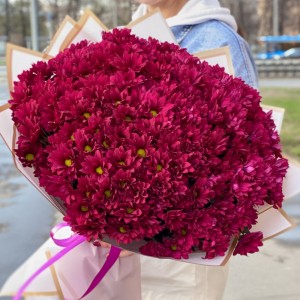 25 фиолетовых кустовых хризантем Бакарди 25 фиолетовых кустовых хризантем Бакарди