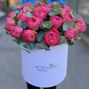 25 коралловых пионов с эвкалиптом в коробке 25 коралловых пионов с эвкалиптом в коробке