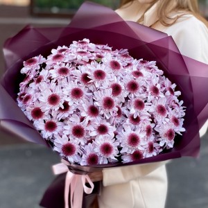 25 кустовых хризантем Стреза 25 кустовых хризантем Стреза
