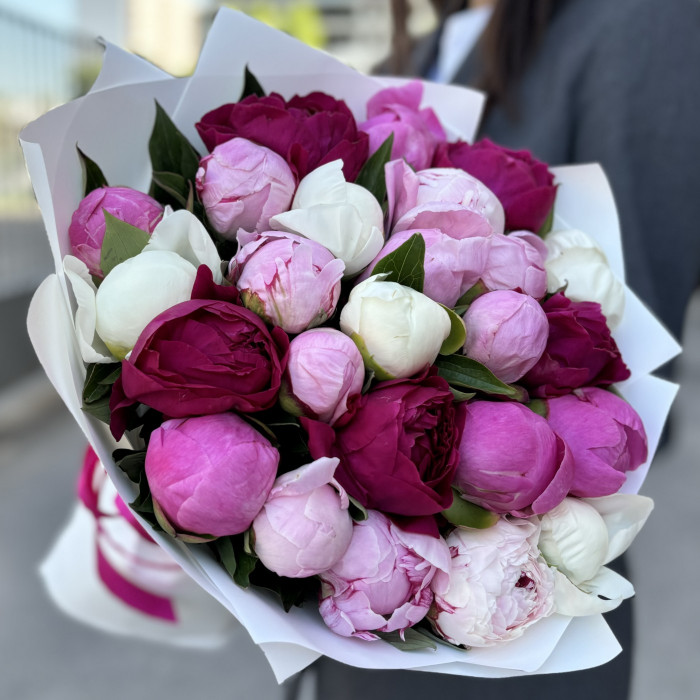 25 пионов микс в упаковке
