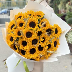 25 подсолнухов 25 подсолнухов