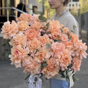 25 пышных абрикосовых роз Принцес Краун с эвкалиптом 25 пышных абрикосовых роз Принцес Краун с эвкалиптом