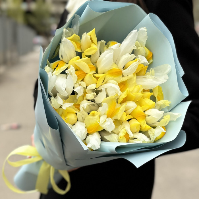 25 желтых ирисов