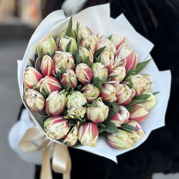 35 пионовидных тюльпанов Вермонт