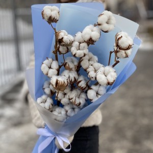 3 ветки хлопка 3 ветки хлопка