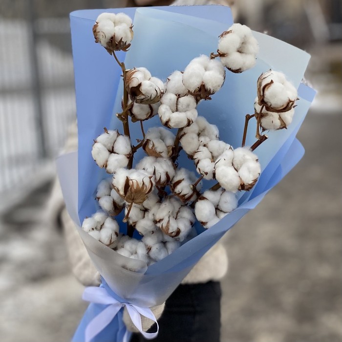 3 ветки хлопка