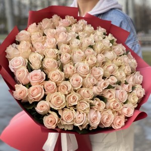 101 нежно-розовая роза Помароса 101 нежно-розовая роза Помароса