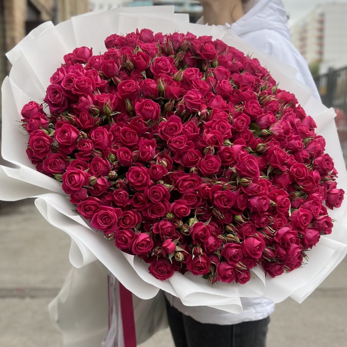 51 кустовая малиновая роза Алиша 70 см