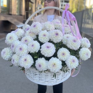 51 бело-сиреневая георгина в корзине 51 бело-сиреневая георгина в корзине