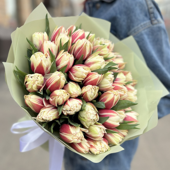 51 пионовидный тюльпан Вермонт