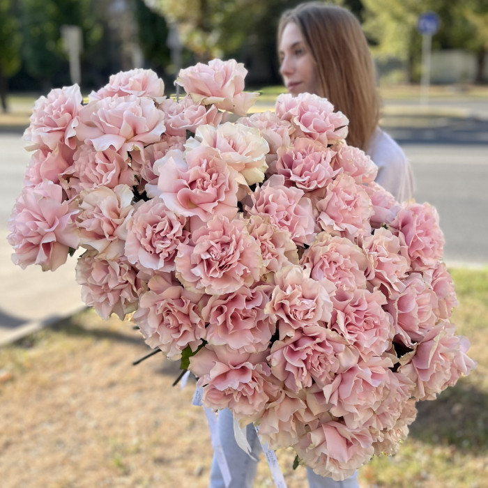 51 пышная роза Пинк Мондиаль