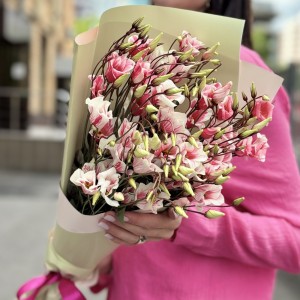 Букет из 5 бело-розовых крашеных эустом Букет из 5 бело-розовых крашеных эустом