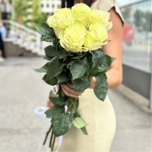 5 белых роз Мондиаль 80 см 5 белых роз Мондиаль 80 см