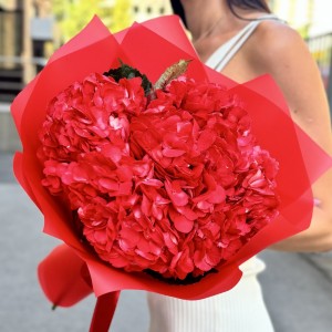 5 красных гортензий 5 красных гортензий