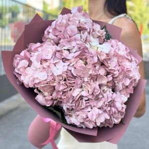 5 жемчужно-розовых гортензий 5 жемчужно-розовых гортензий