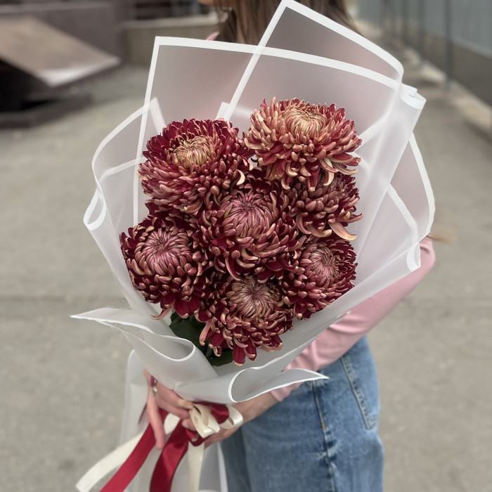 7 бордовых хризантем