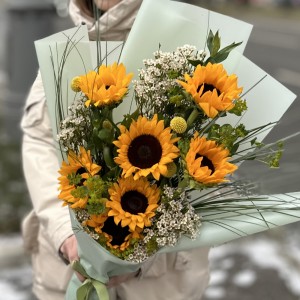 7 подсолнухов с шамелациумом 7 подсолнухов с шамелациумом
