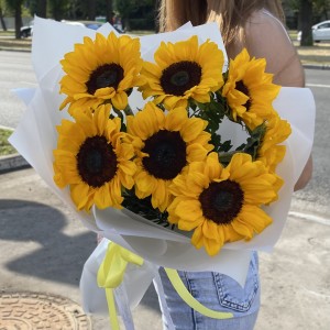 7 подсолнухов в упаковке 7 подсолнухов в упаковке