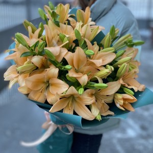 9 оранжевых лилий Азиатка 9 оранжевых лилий Азиатка