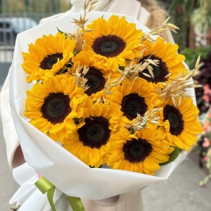 9 подсолнухов с овсом 9 подсолнухов с овсом