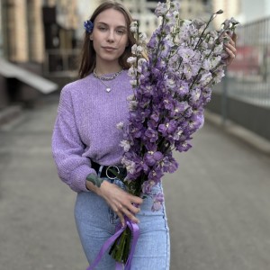 9 сиреневых дельфиниумов 9 сиреневых дельфиниумов