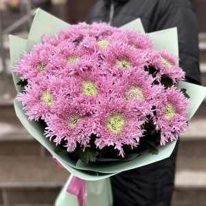 Букет из 15 розовых хризантем Этруско Букет из 15 розовых хризантем Этруско
